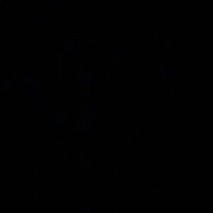 Meet your Posher, Saja